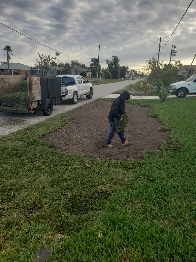 Expert landscape installation for outdoor upgrades across Cape Haze, FL - Quality Concrete & Conscape