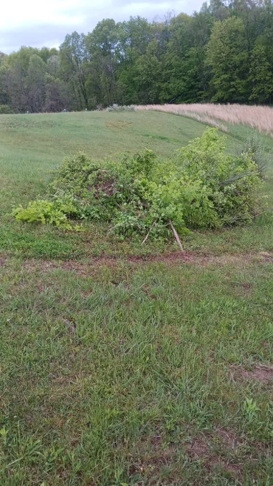 Top-rated lawn mowing service in Murray City, OH by Quality Contracting & Services