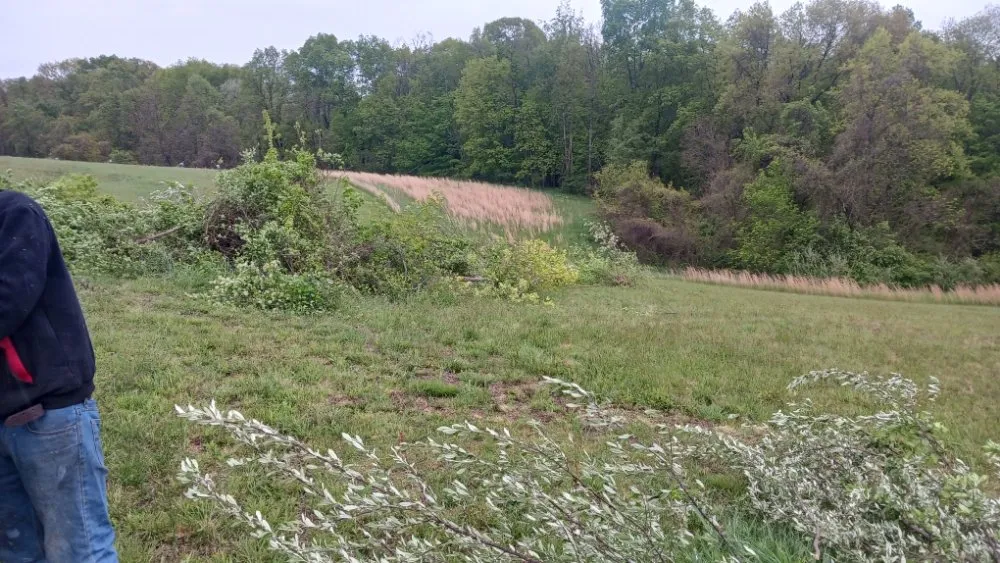 Reliable yard maintenance in Murray City, OH by Quality Contracting & Services