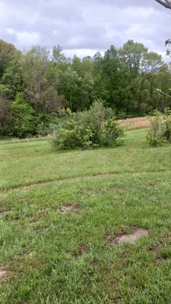 Trusted yard cleanup service in Murray City, OH - Quality Contracting & Services