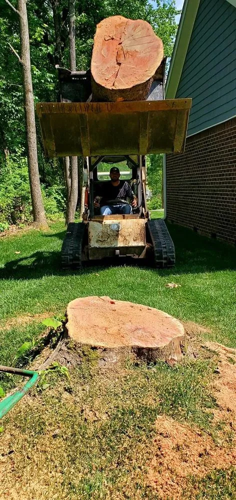 Affordable lawn care service experts serving Mount Washington, KY - Quality Contracting