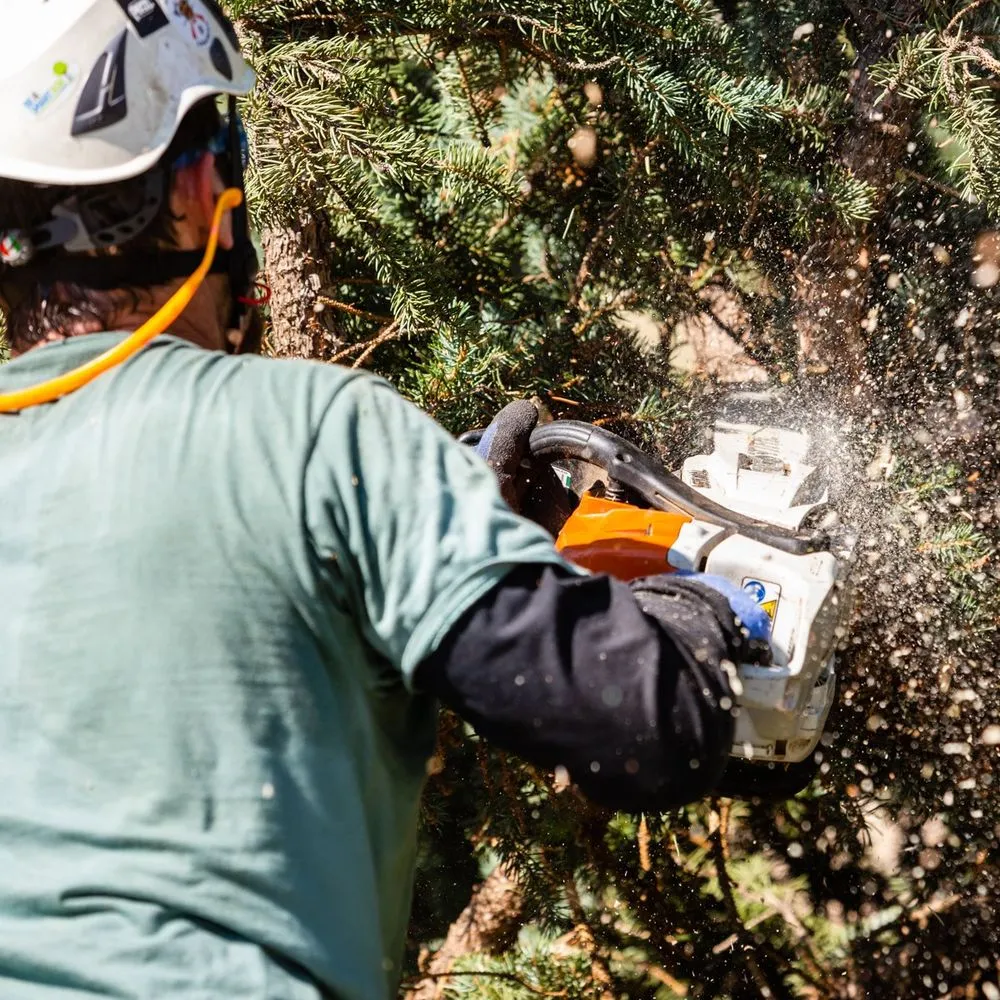 Trusted residential landscaping for beautiful yards across Mount Washington, KY - Quality Contracting