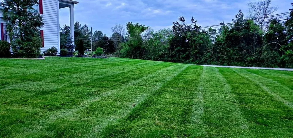 Top-rated lawn mowing service for residential properties in Mount Washington, KY by Quality Contracting