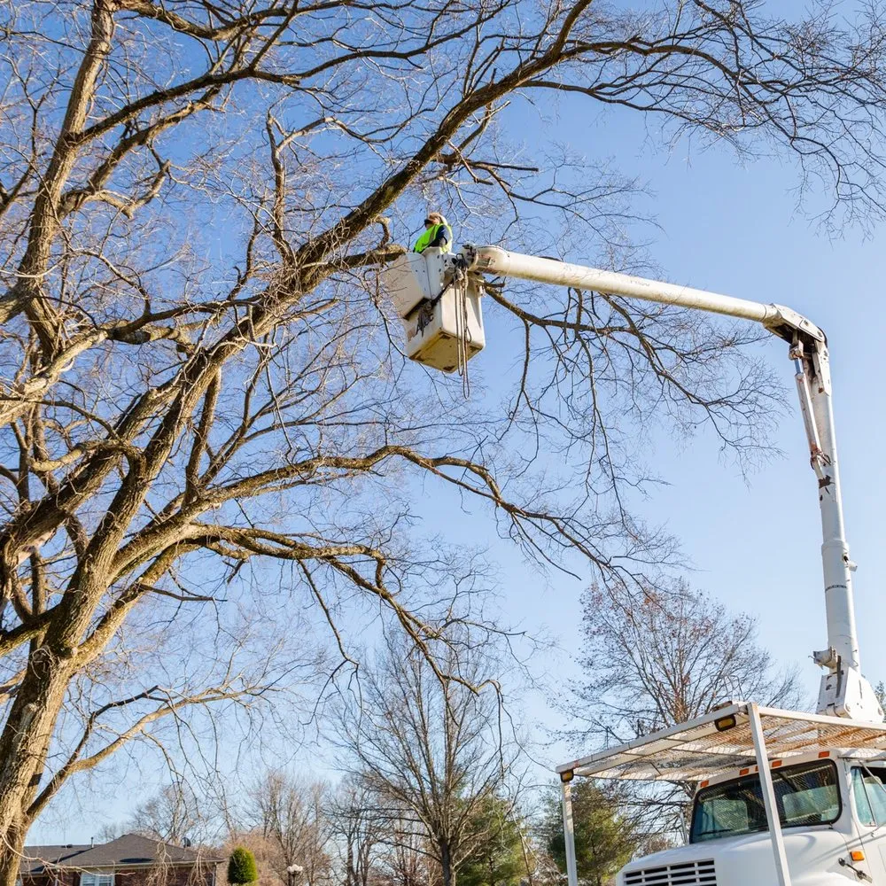 Reliable residential landscaping in Mount Washington, KY - Quality Contracting