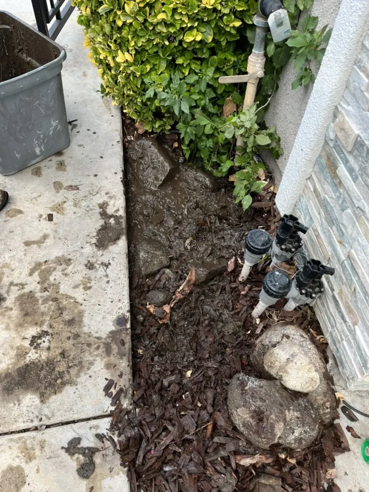 Affordable yard cleanup service for year-round maintenance across Eastvale, CA - Quality Control Landscaping