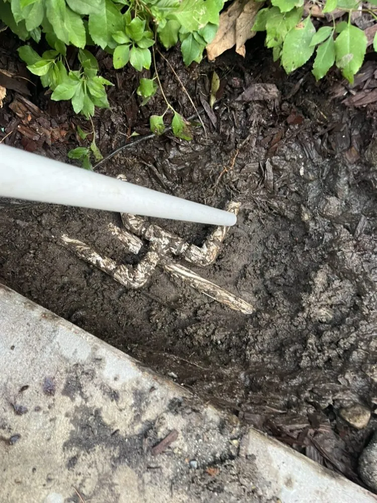 Local outdoor landscaping with custom design in Eastvale, CA by Quality Control Landscaping