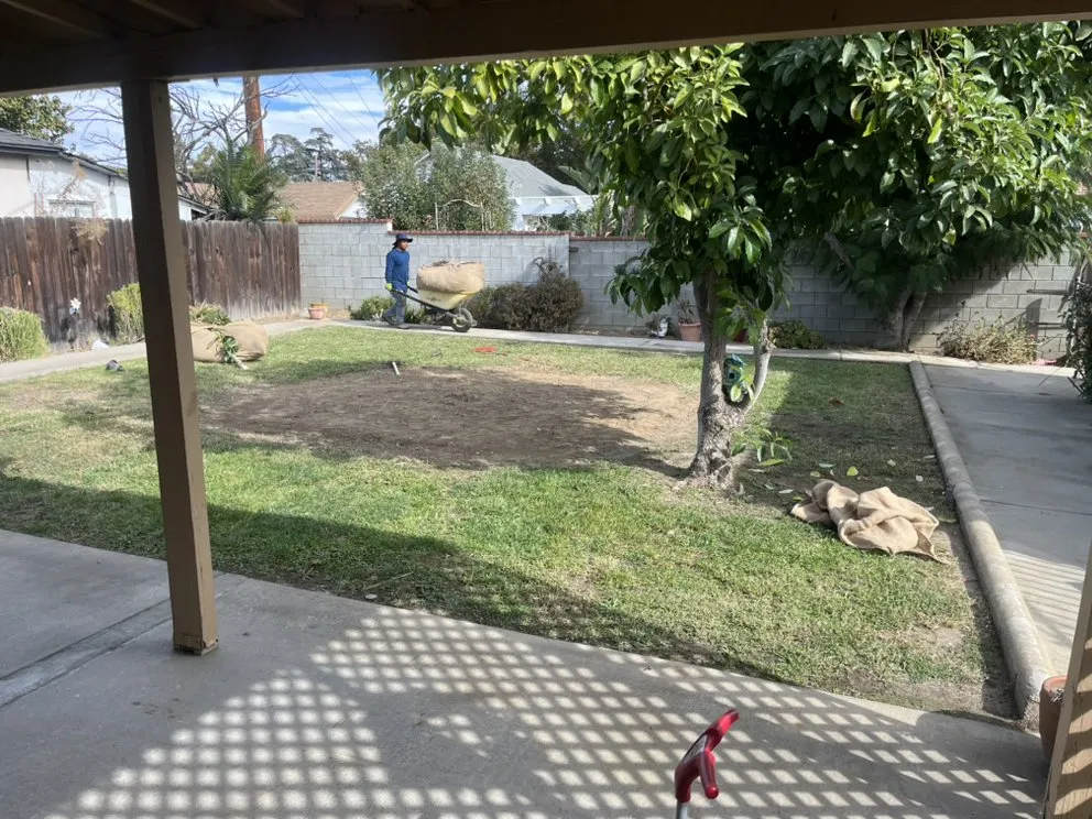 Custom yard cleanup service near you in Eastvale, CA by Quality Control Landscaping
