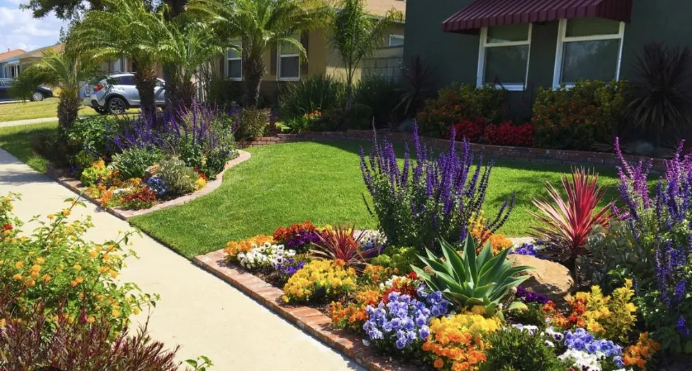 Expert lawn care service in Eastvale, CA by Quality Control Landscaping