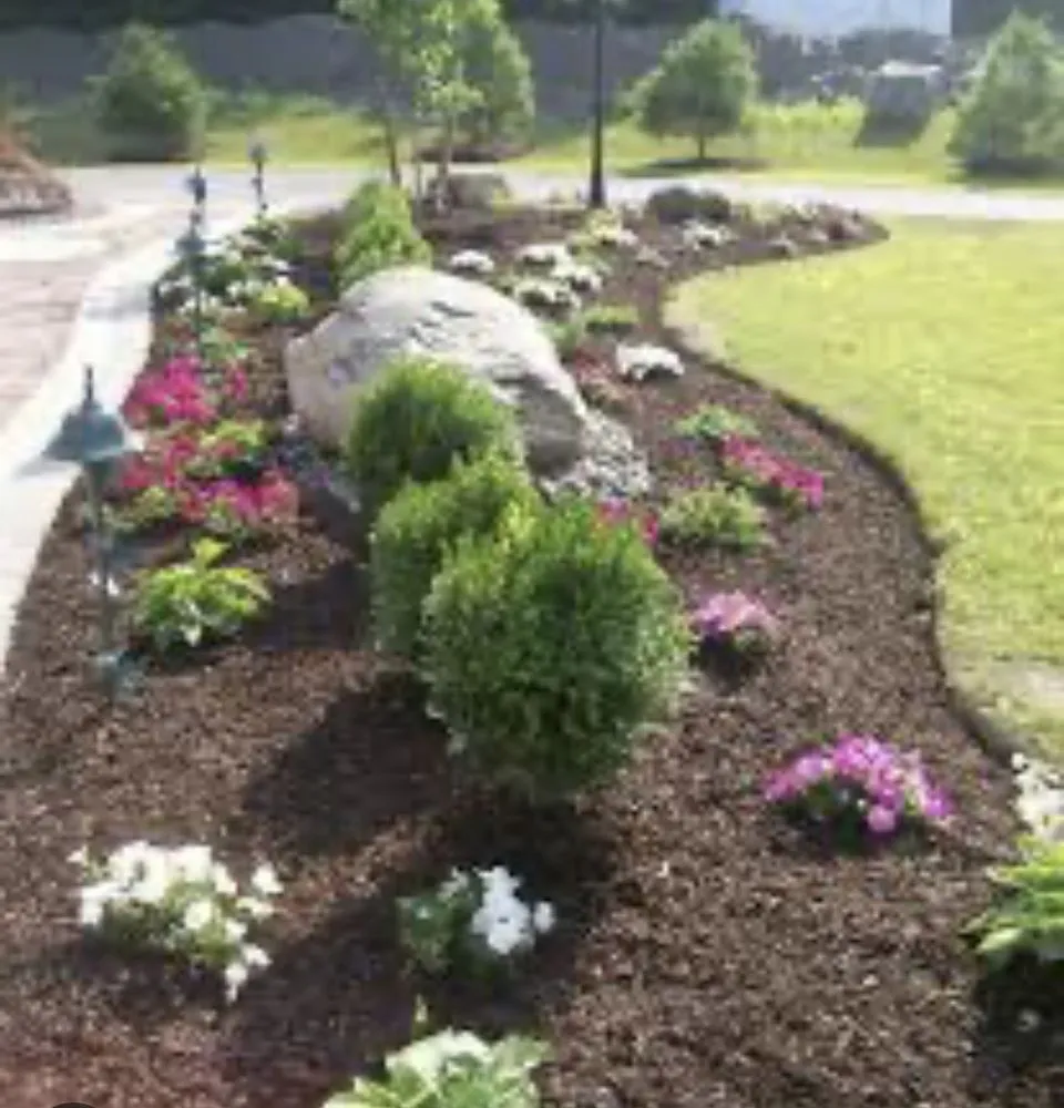 Affordable lawn mowing service experts serving Eastvale, CA - Quality Control Landscaping