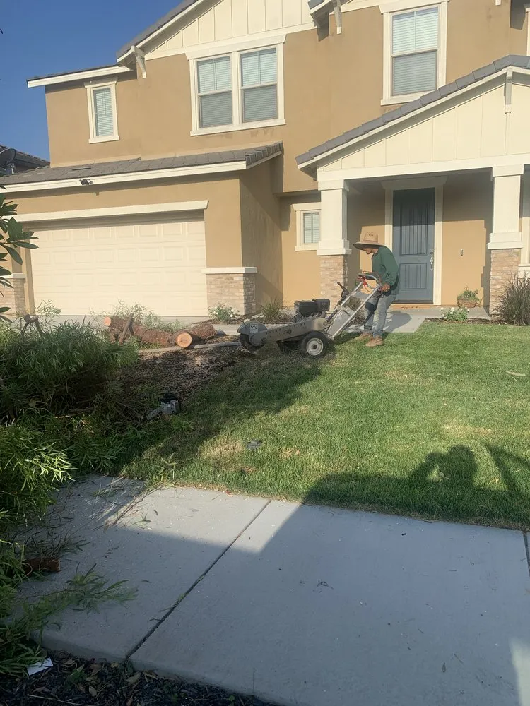 Custom landscape design for year-round maintenance across Corona, CA - Quality Control Maintenance