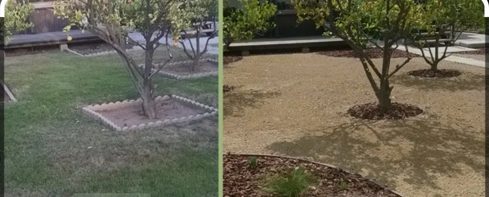 Affordable landscape installation experts serving Corona, CA - Quality Control Maintenance