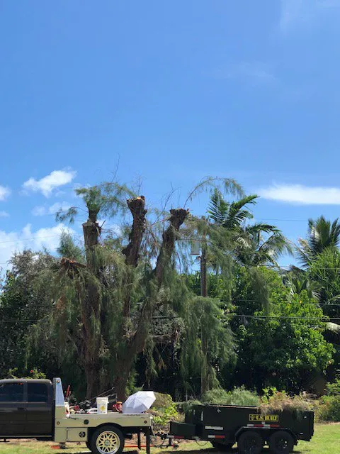 Professional landscape design in Anahola, HI by Quality Control Yard Care & Trim