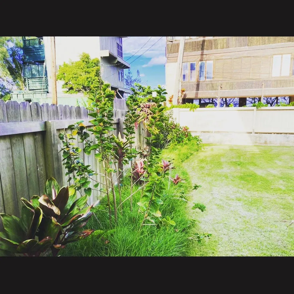 Affordable landscaping services in Anahola, HI by Quality Control Yard Care & Trim