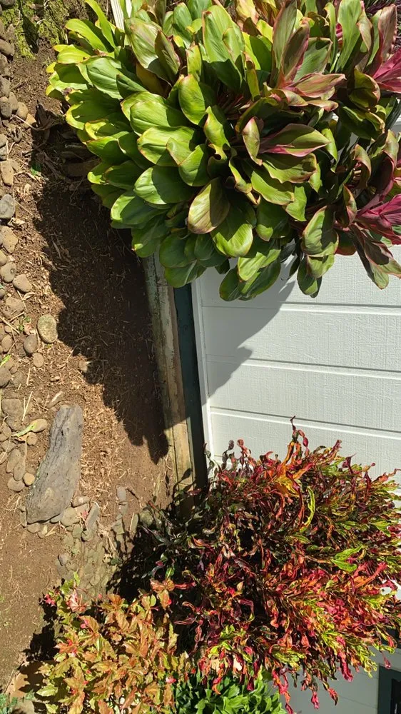 Expert landscape installation with custom design across Anahola, HI - Quality Control Yard Care & Trim