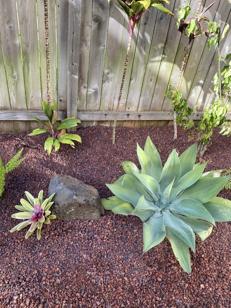 Reliable landscape design in Anahola, HI - Quality Control Yard Care & Trim