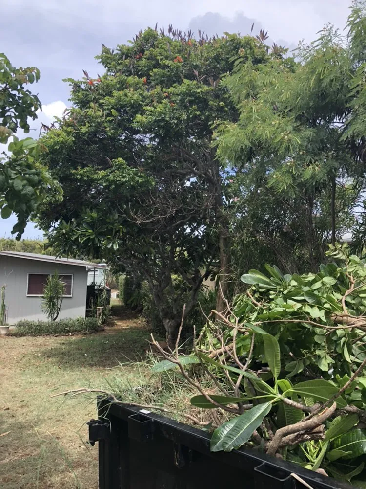 Expert landscaping services in Anahola, HI - Quality Control Yard Care & Trim
