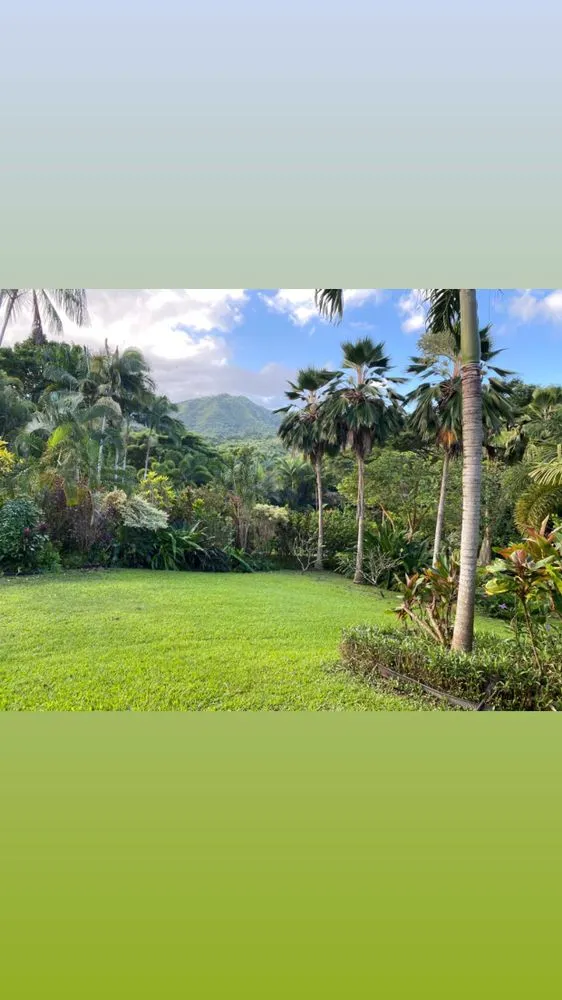 Expert yard maintenance experts serving Anahola, HI - Quality Control Yard Care & Trim