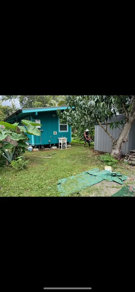 Reliable lawn care service in Anahola, HI by Quality Control Yard Care & Trim