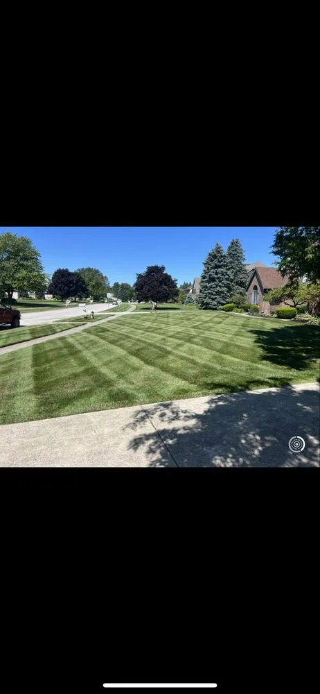 Trusted yard cleanup service in Toledo, OH by Quality Craft Contracting