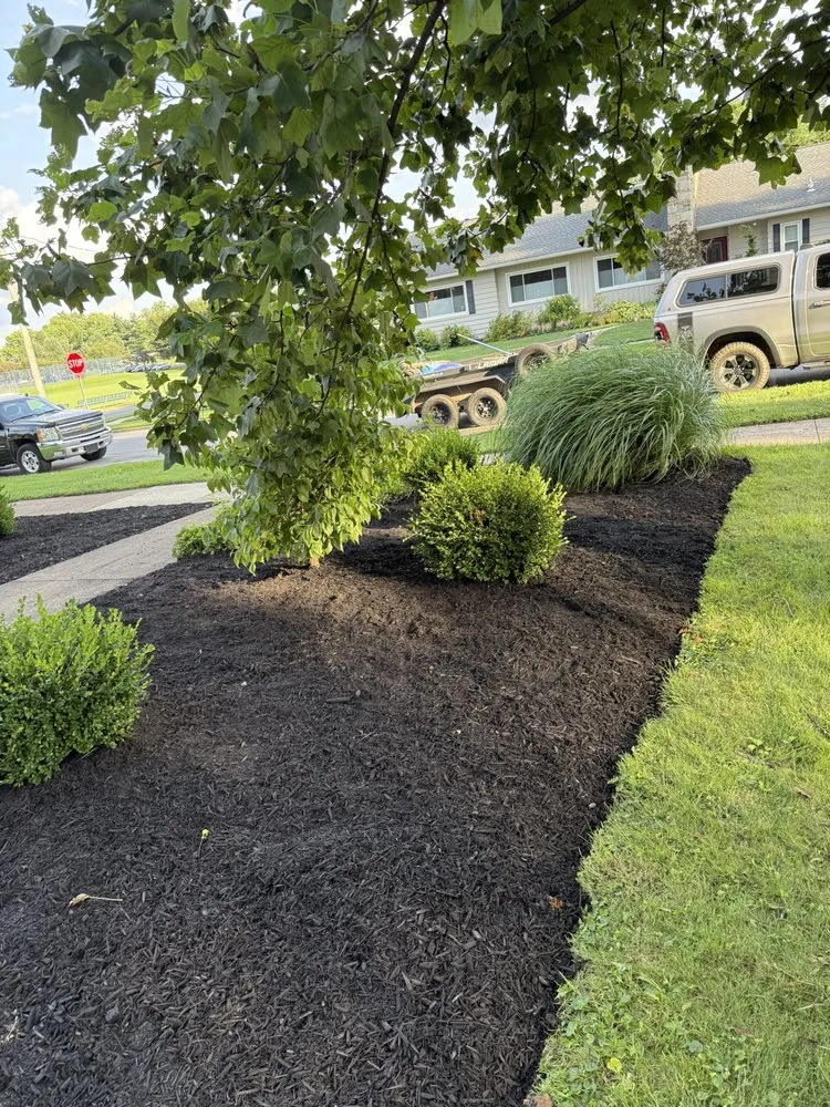 Professional yard maintenance for residential properties across Mt Wolf, PA - Quality Cut Lawn Care