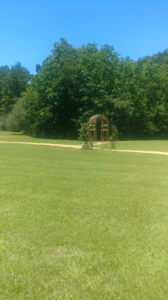 Expert yard cleanup service for year-round maintenance in Sumrall, MS by Quality cut lawn care