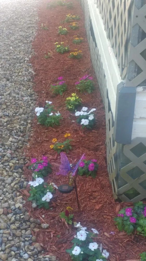 Reliable landscaping services experts serving Sumrall, MS - Quality cut lawn care