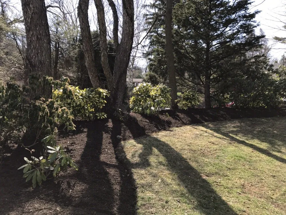 Professional residential landscaping for year-round maintenance across Wilmington, DE - Quality Cut Lawn Service
