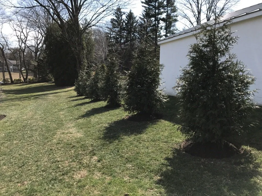 Professional landscape design in Wilmington, DE by Quality Cut Lawn Service