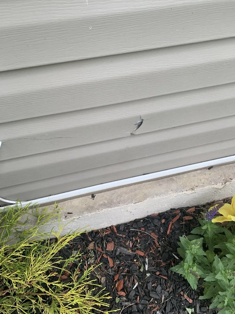 Custom garden landscaping in Wilmington, DE - Quality Cut Lawn Service