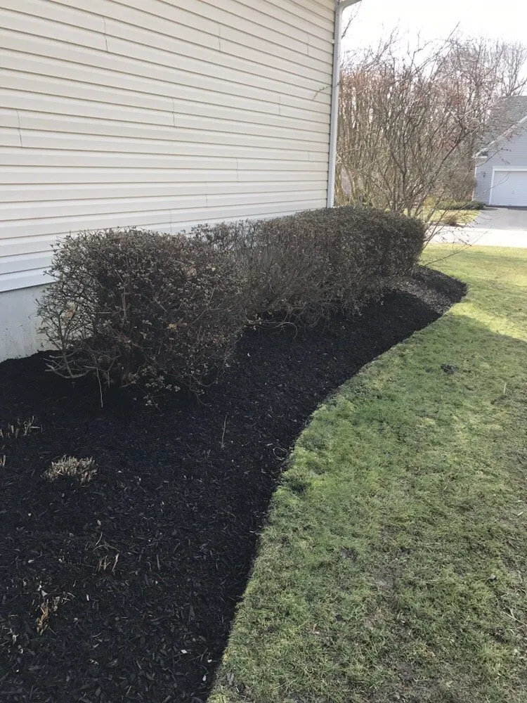 Trusted lawn care service in Wilmington, DE by Quality Cut Lawn Service