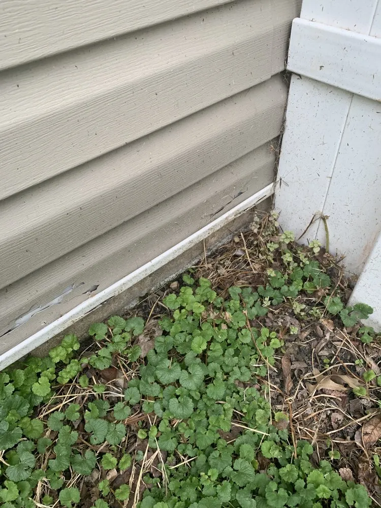 Top-rated landscape installation in Wilmington, DE by Quality Cut Lawn Service