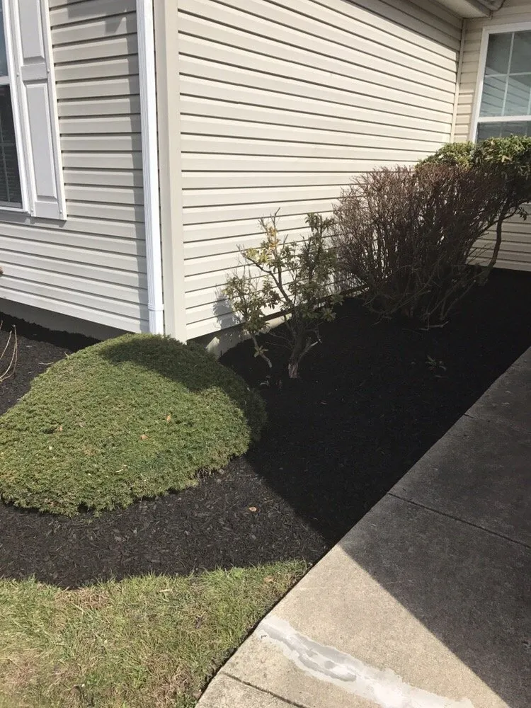 Trusted lawn mowing service experts serving Wilmington, DE - Quality Cut Lawn Service