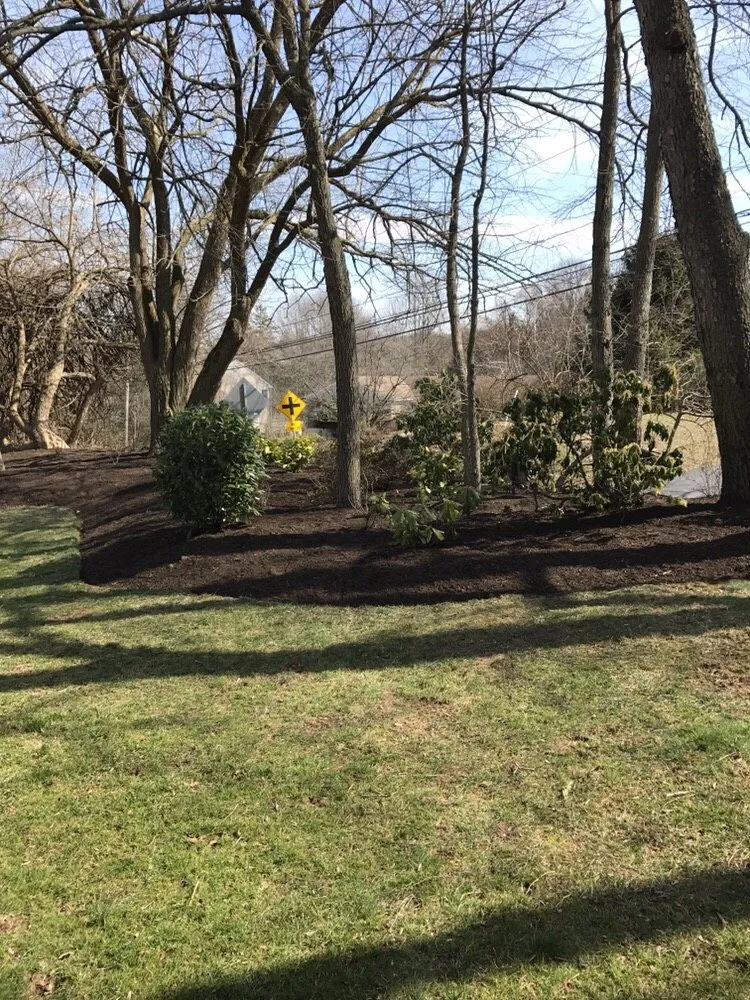 Affordable lawn mowing service in Wilmington, DE - Quality Cut Lawn Service