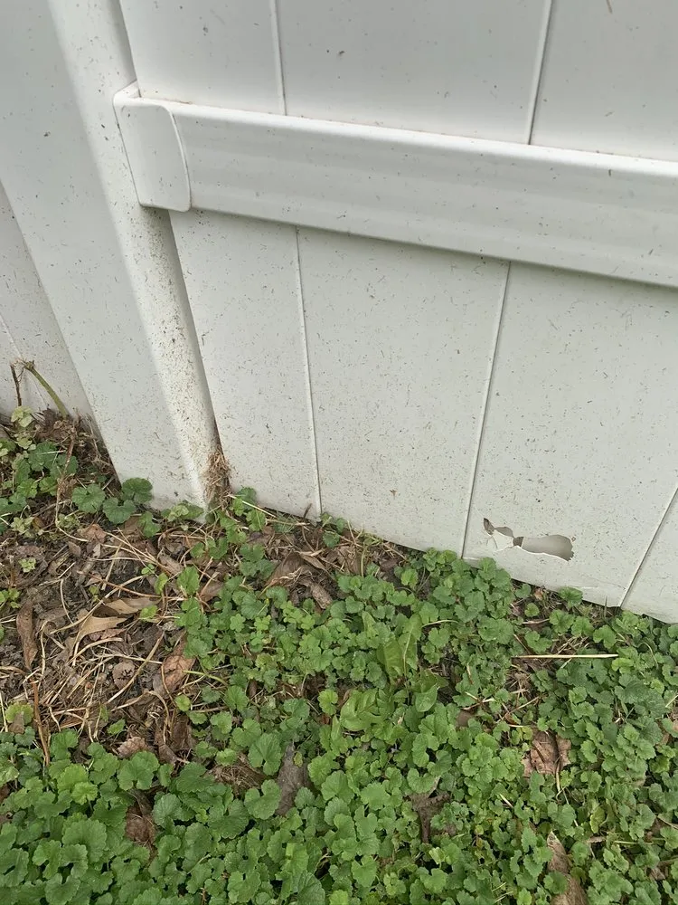 Local garden landscaping in Wilmington, DE - Quality Cut Lawn Service