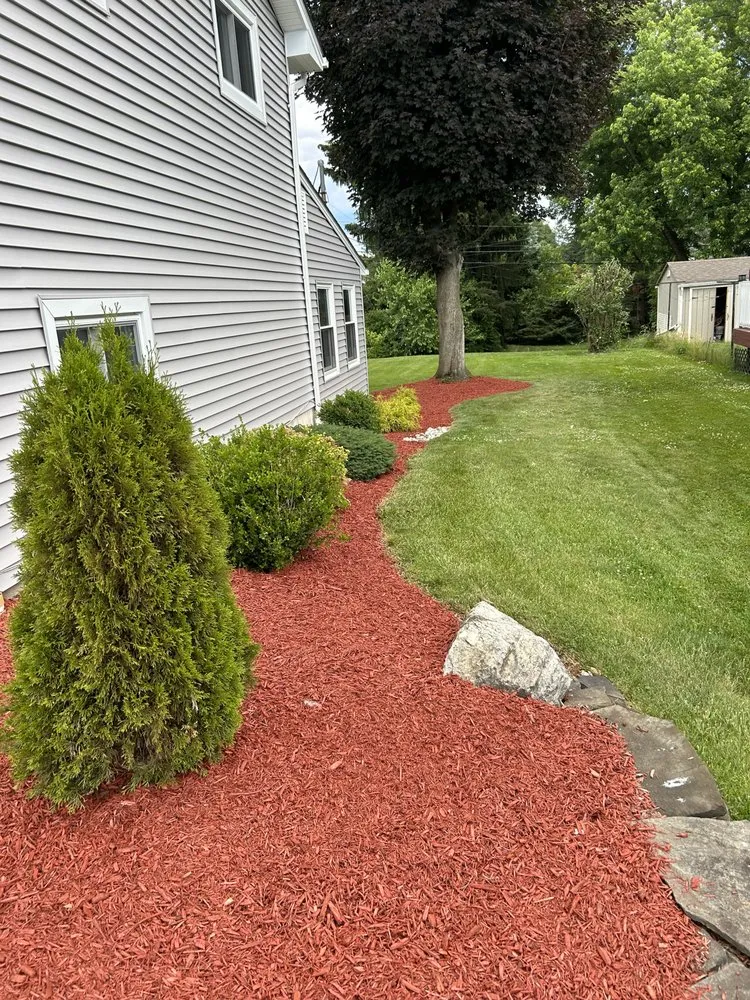 Top-rated yard cleanup service experts serving Allentown, PA - Quality Cuts & Landscaping