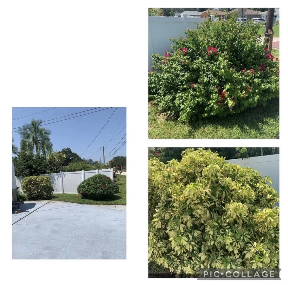 Custom outdoor landscaping with custom design across St. Petersburg, FL - Quality Cuts & Landscaping