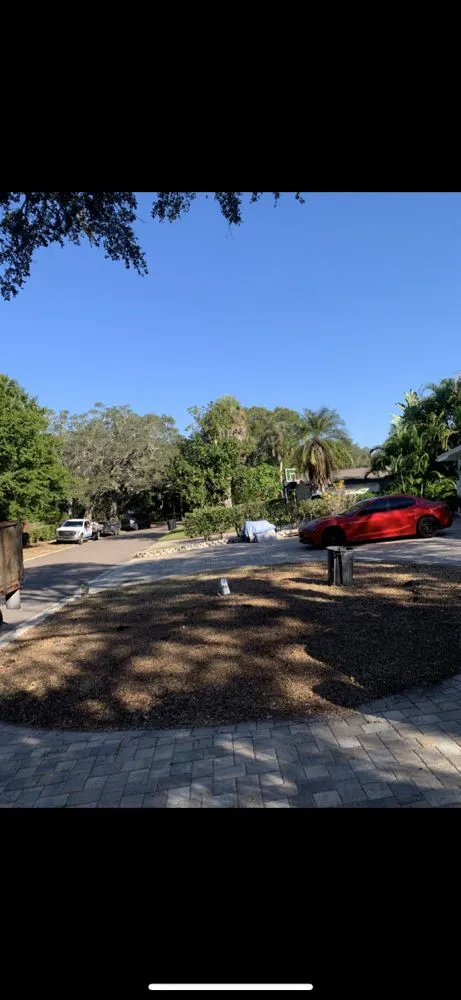 Top-rated lawn care service experts serving St. Petersburg, FL - Quality Cuts & Landscaping