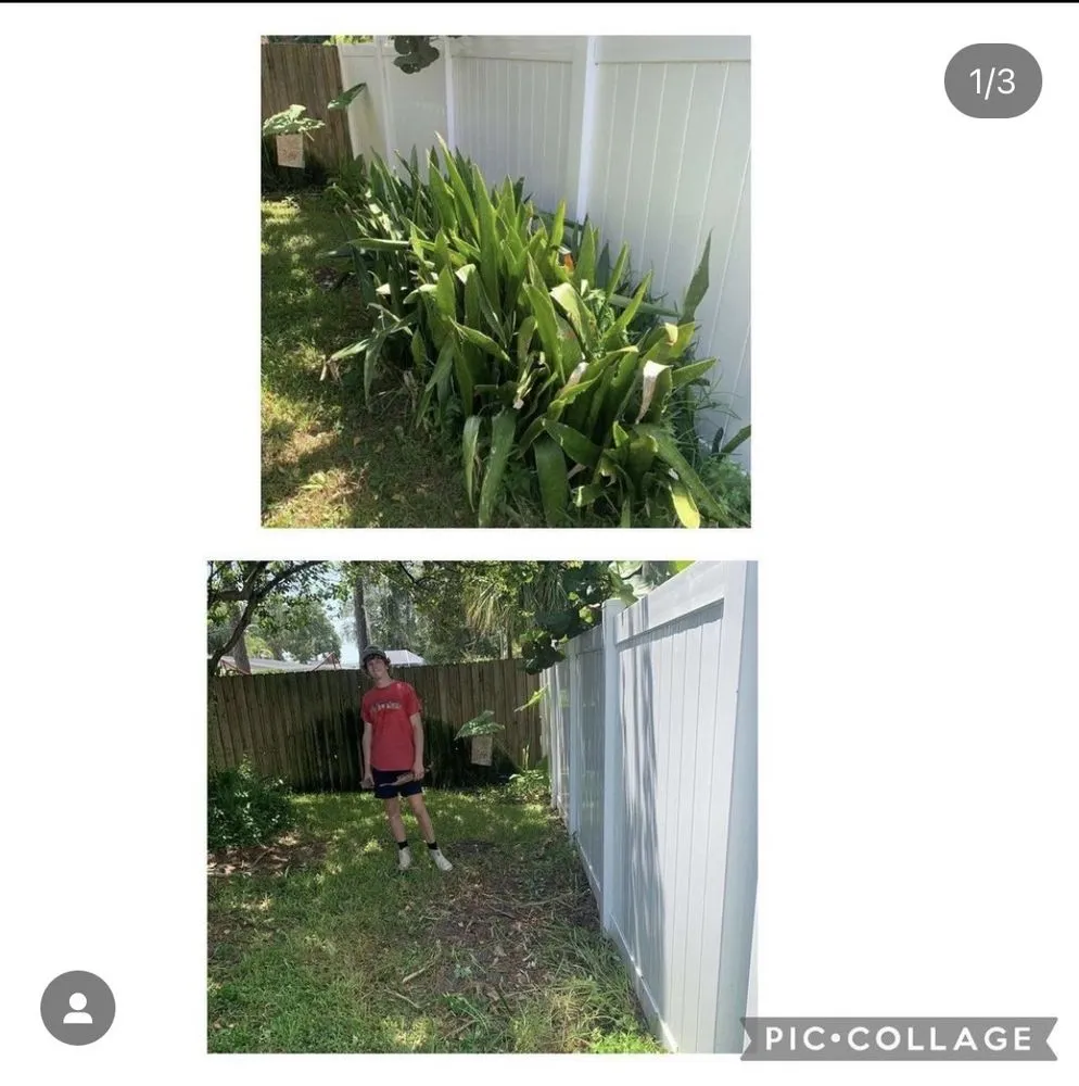 Reliable residential landscaping for residential properties in St. Petersburg, FL by Quality Cuts & Landscaping