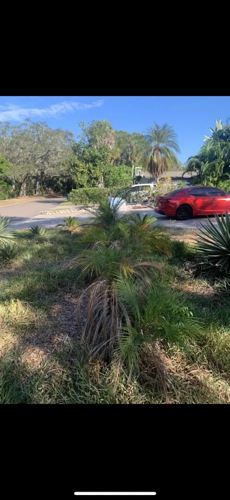 Local lawn mowing service with custom design across St. Petersburg, FL - Quality Cuts & Landscaping