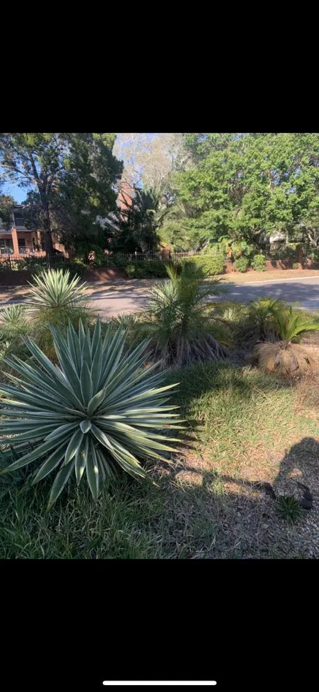 Expert residential landscaping for homes in St. Petersburg, FL by Quality Cuts & Landscaping