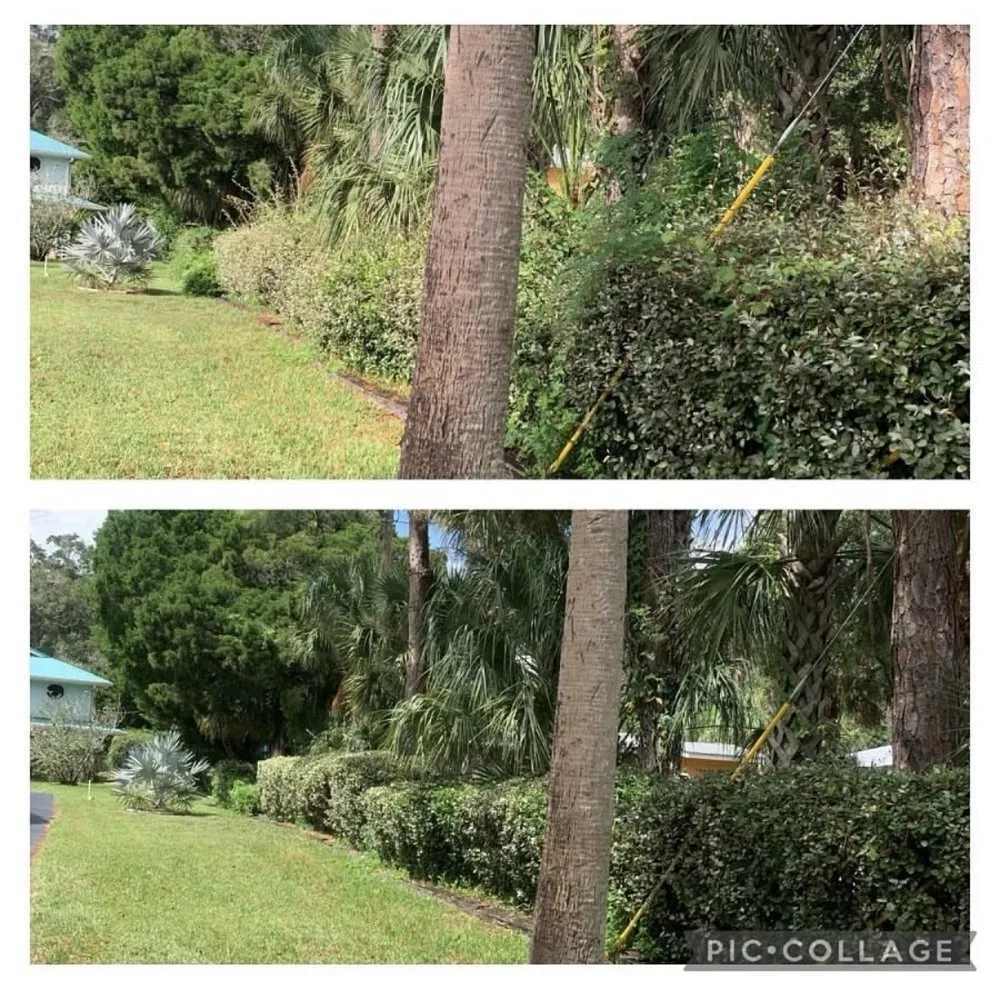 Reliable garden landscaping in St. Petersburg, FL - Quality Cuts & Landscaping