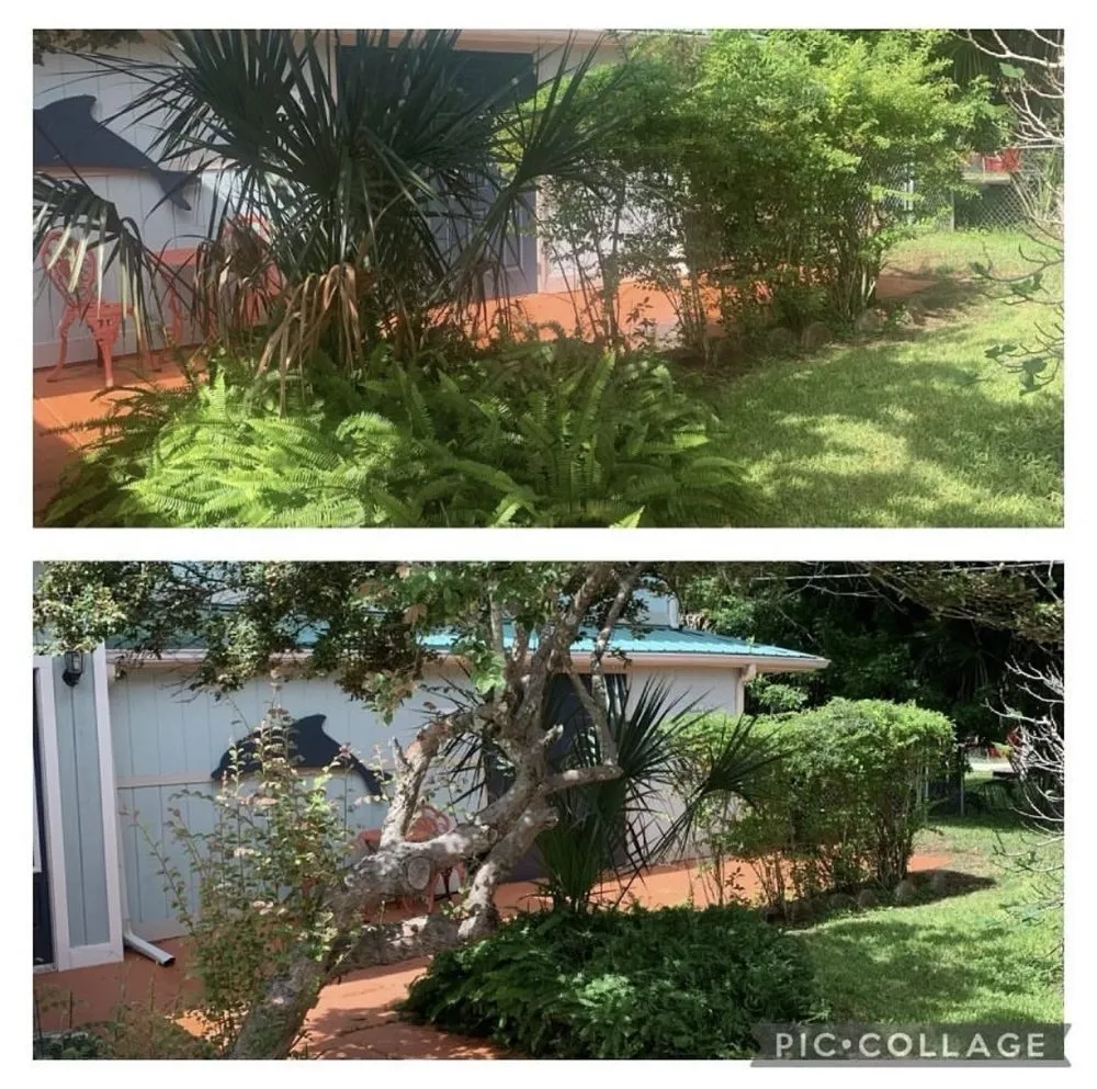 Reliable outdoor landscaping for homes across St. Petersburg, FL - Quality Cuts & Landscaping