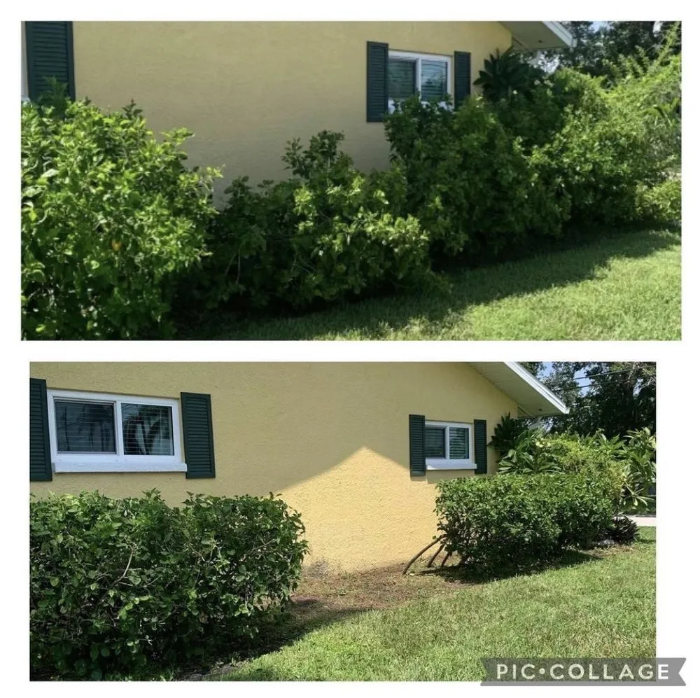 Top-rated yard maintenance near you across St. Petersburg, FL - Quality Cuts & Landscaping