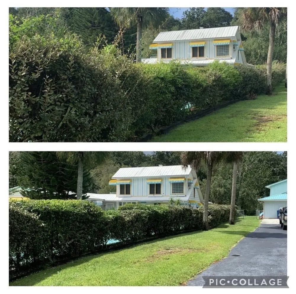 Custom lawn care service near you in St. Petersburg, FL by Quality Cuts & Landscaping