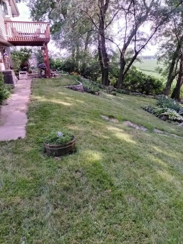 Expert outdoor landscaping in Bettendorf, IA - Quality Cuts Lawn Care