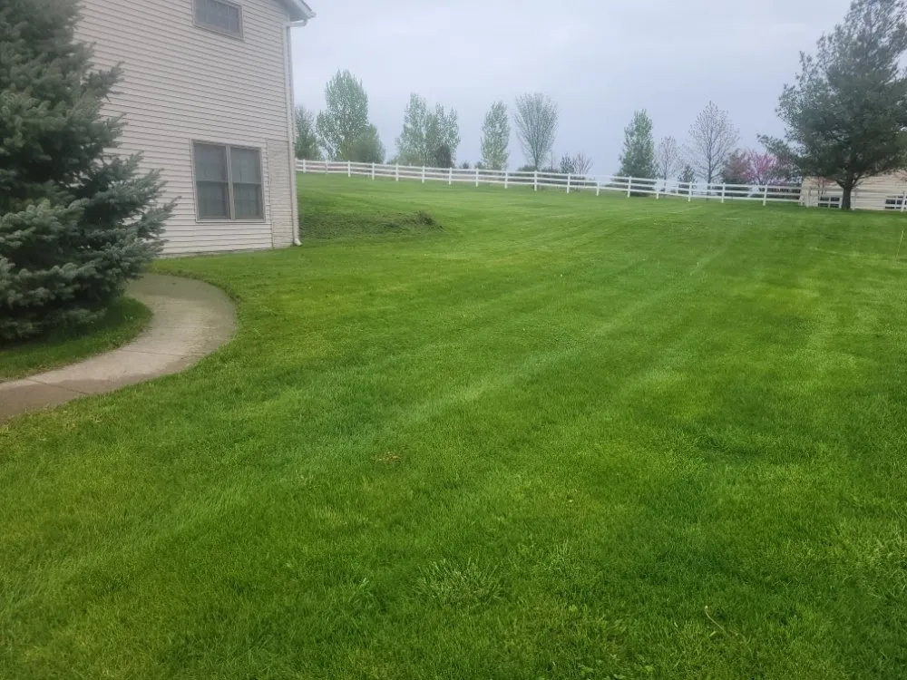 Expert yard cleanup service in Bettendorf, IA - Quality Cuts Lawn Care