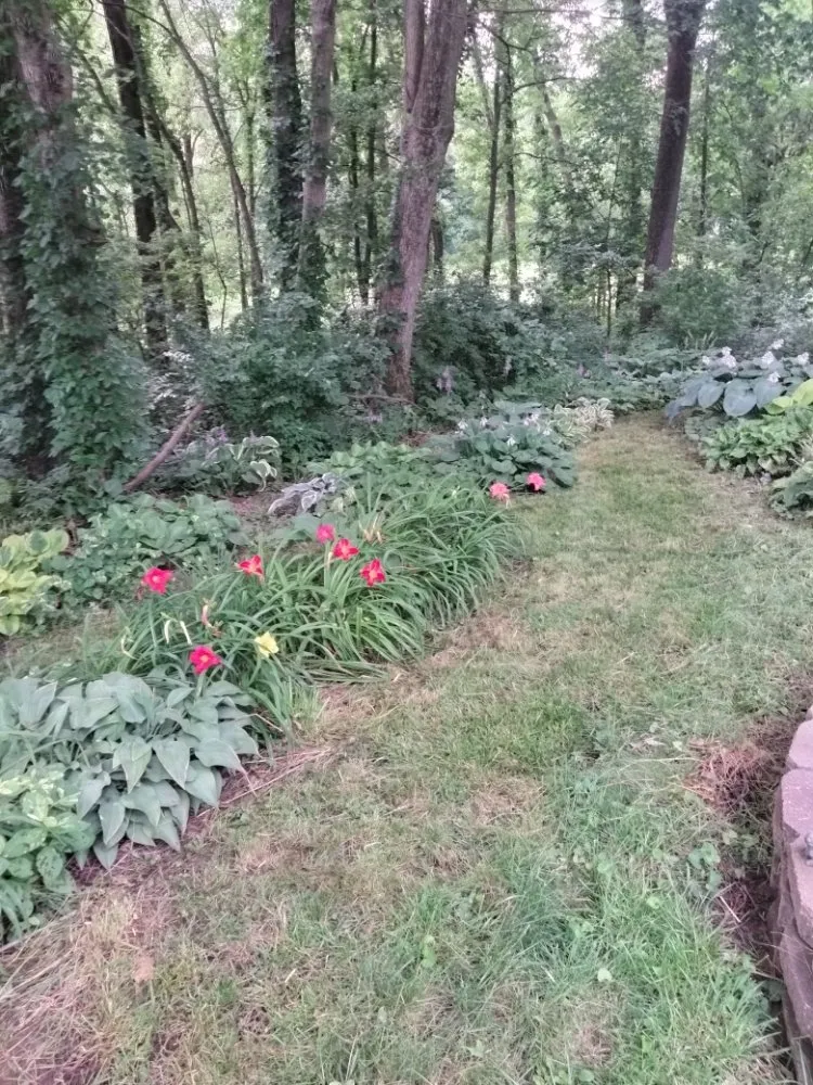 Reliable yard cleanup service in Bettendorf, IA by Quality Cuts Lawn Care