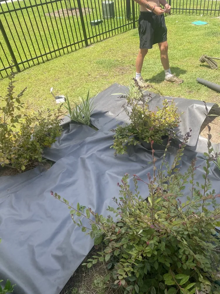 Affordable landscaping services experts serving Summerville, SC - Quality Cuts Lawn Care