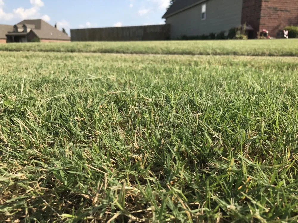 Expert yard cleanup service experts serving Tulsa, OK - Quality Cuts Lawn Care