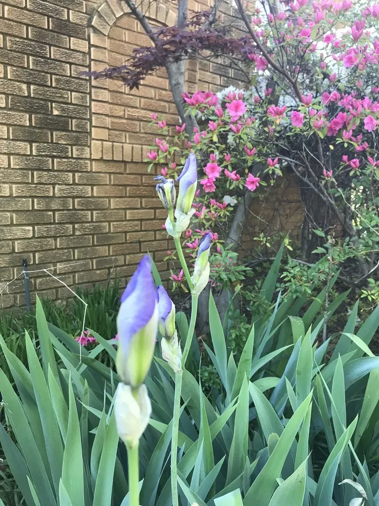 Affordable landscape design in Tulsa, OK - Quality Cuts Lawn Care